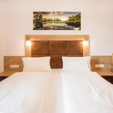 Guest house Zum Wilden Hannes Wagrain