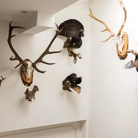 Zum Wilden Hannes Wagrain