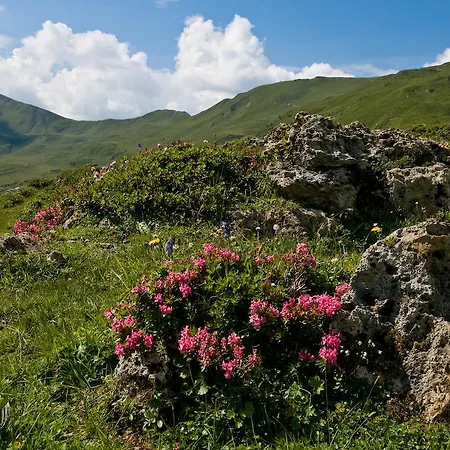 Penzion Zum Wilden Hannes 3*